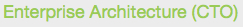 Enterprise Architecture (CTO) Enterprise Architecture (CTO)
