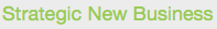 Strategic New Business Strategic New Business